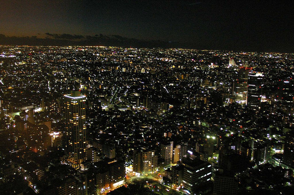 ご覧　あれが東京の灯だ！