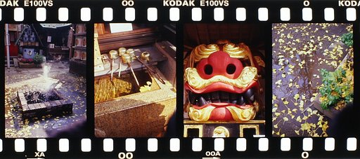 晩秋　波除神社