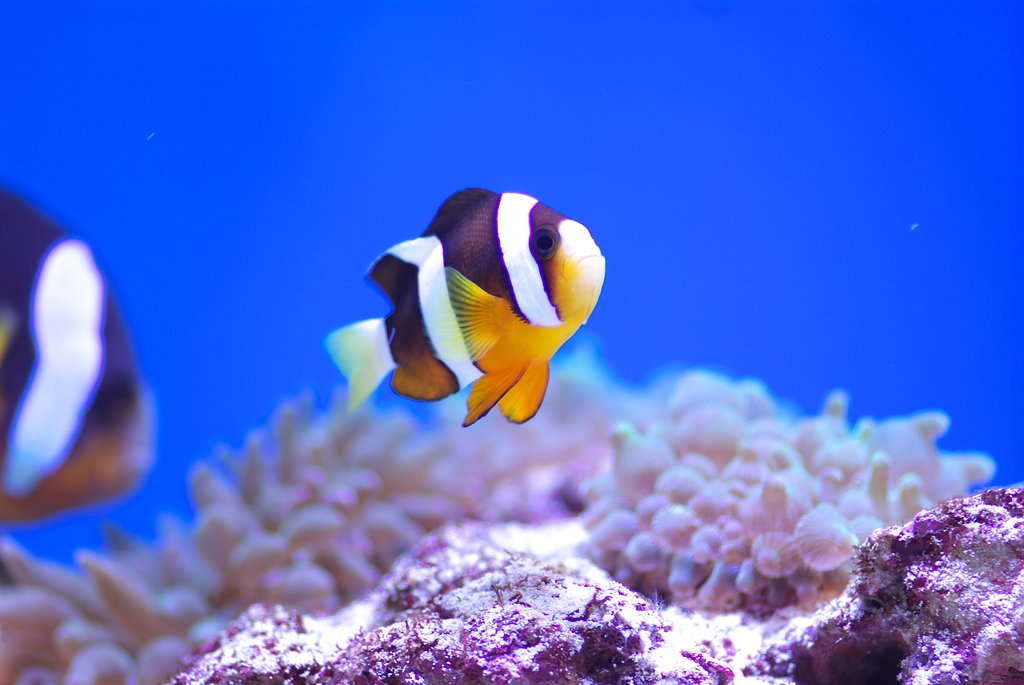 葛西臨海水族園