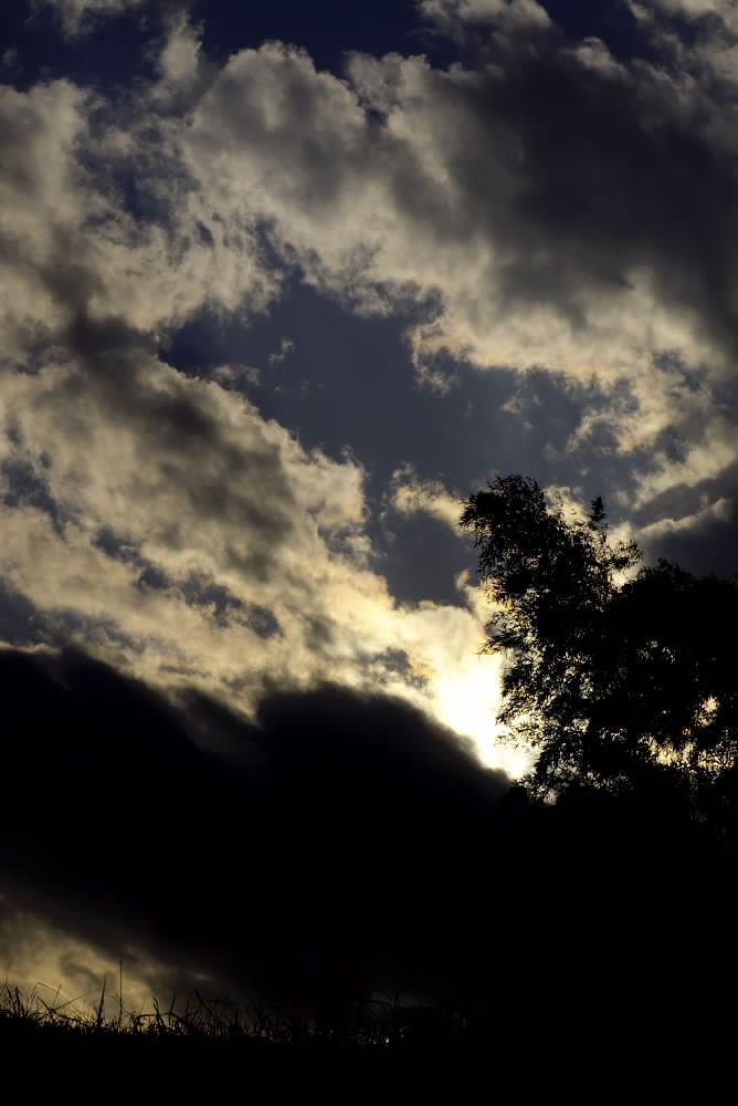 雲