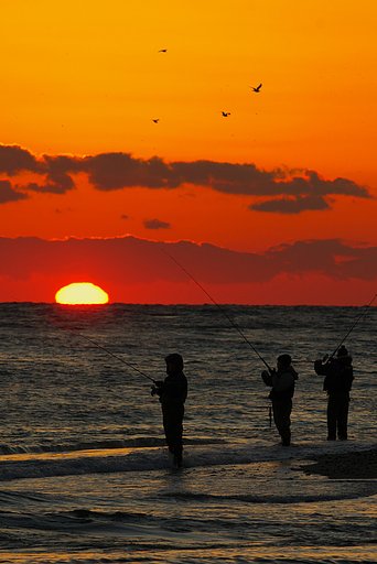 夕日を浴びて飛べ