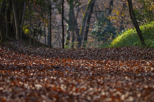 12月16日の写真