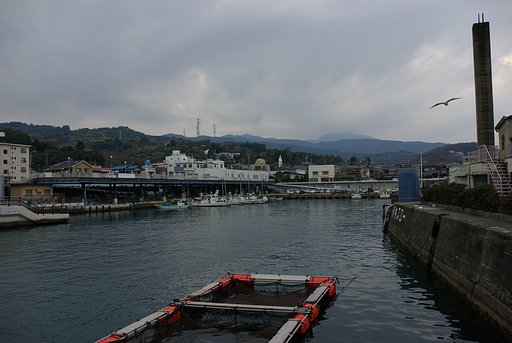 港