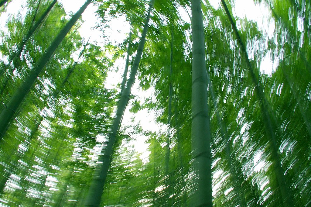 光風