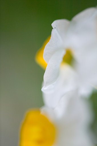今日は雨降りです。