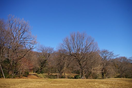 引き締まったブルー