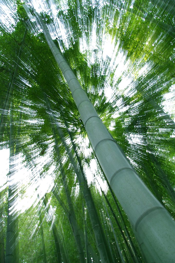 光の通る道