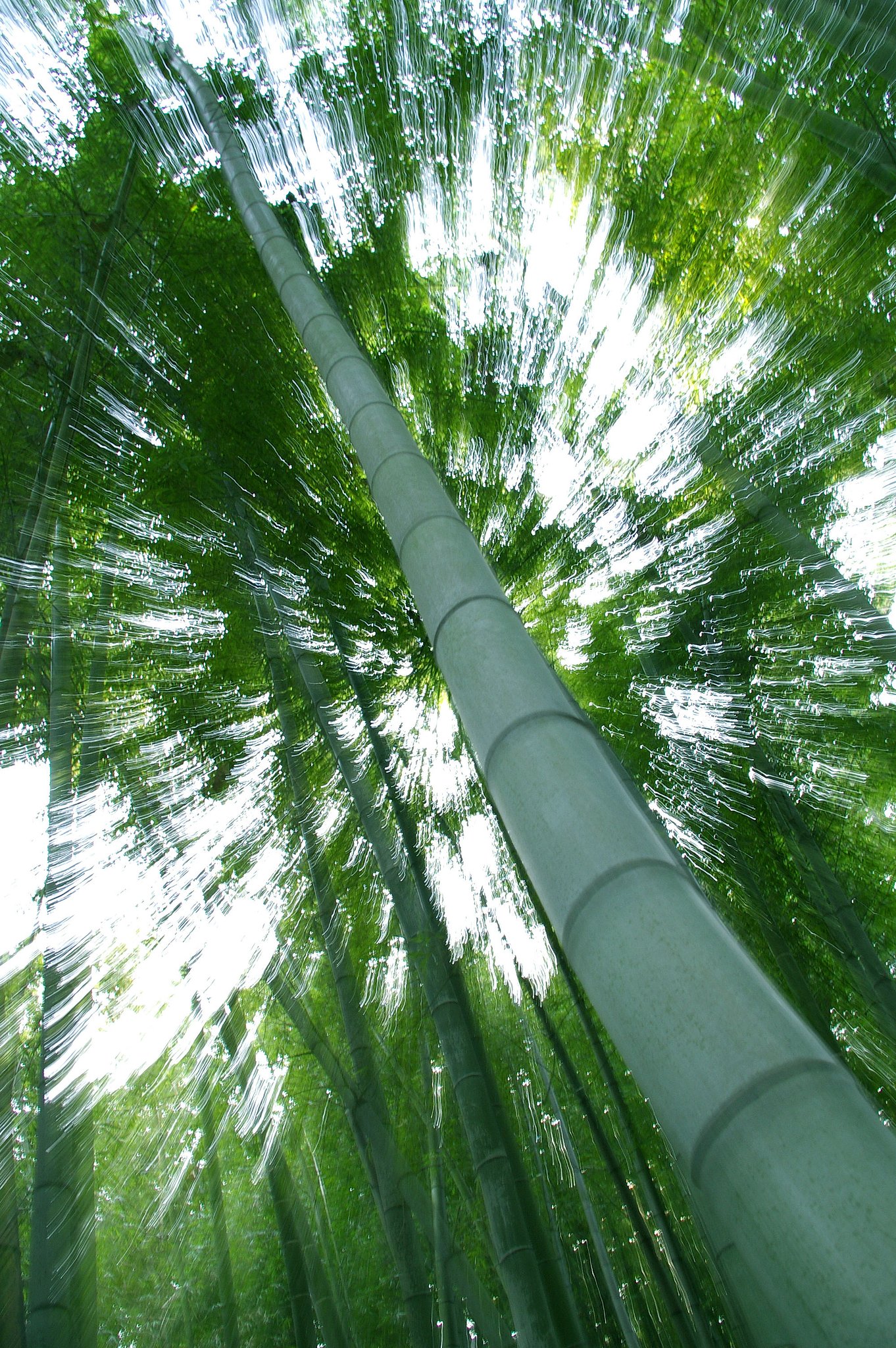 光の通る道