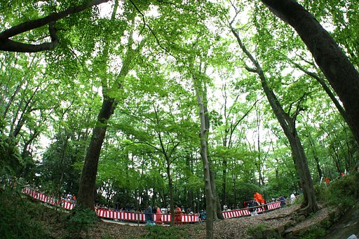 京都・葵祭り