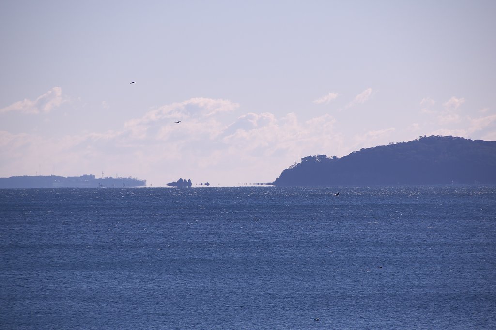 真鶴半島と初島