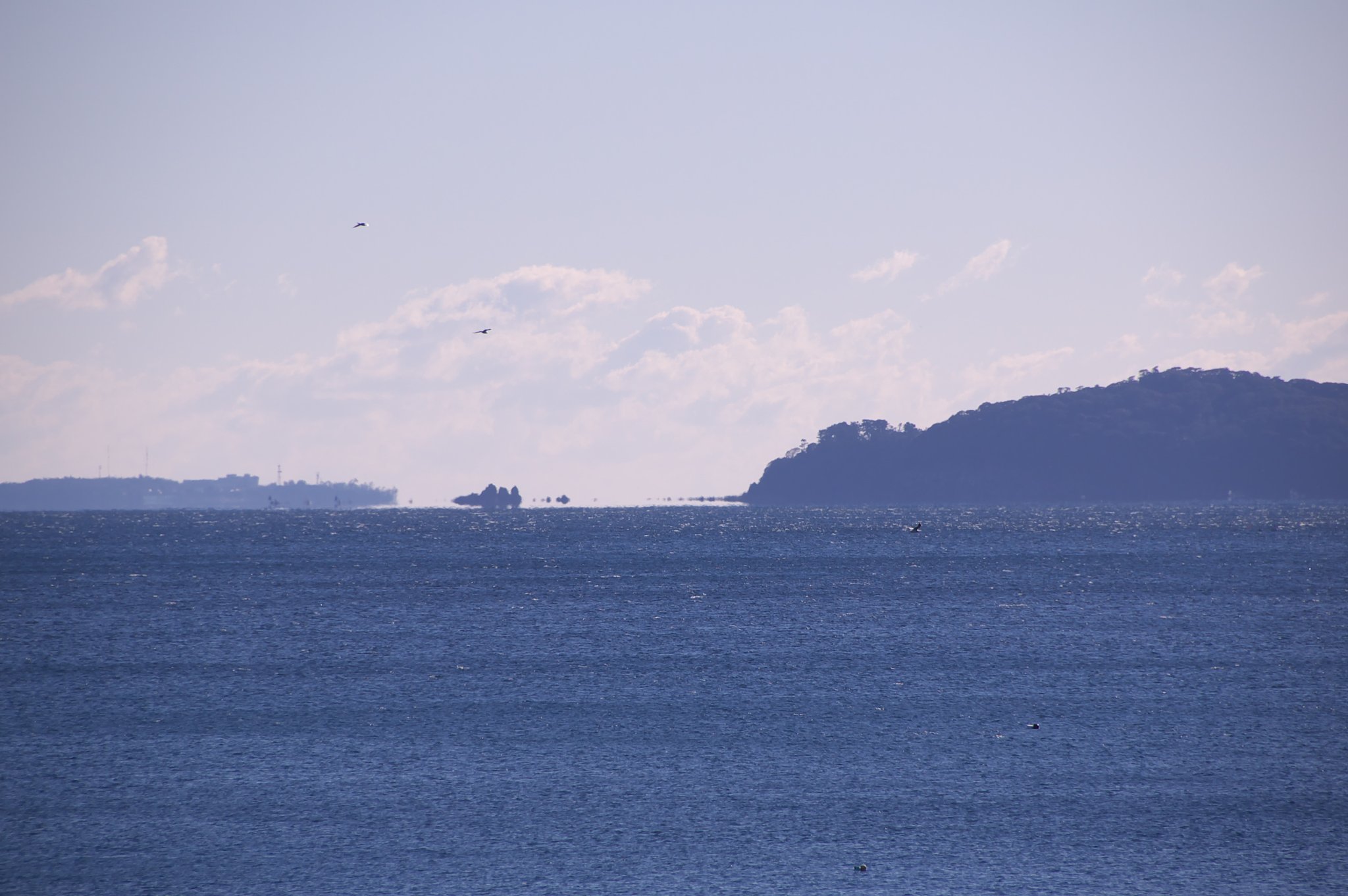 真鶴半島と初島