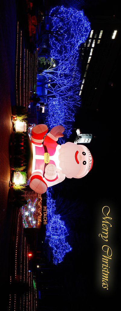 Merry Christmas !