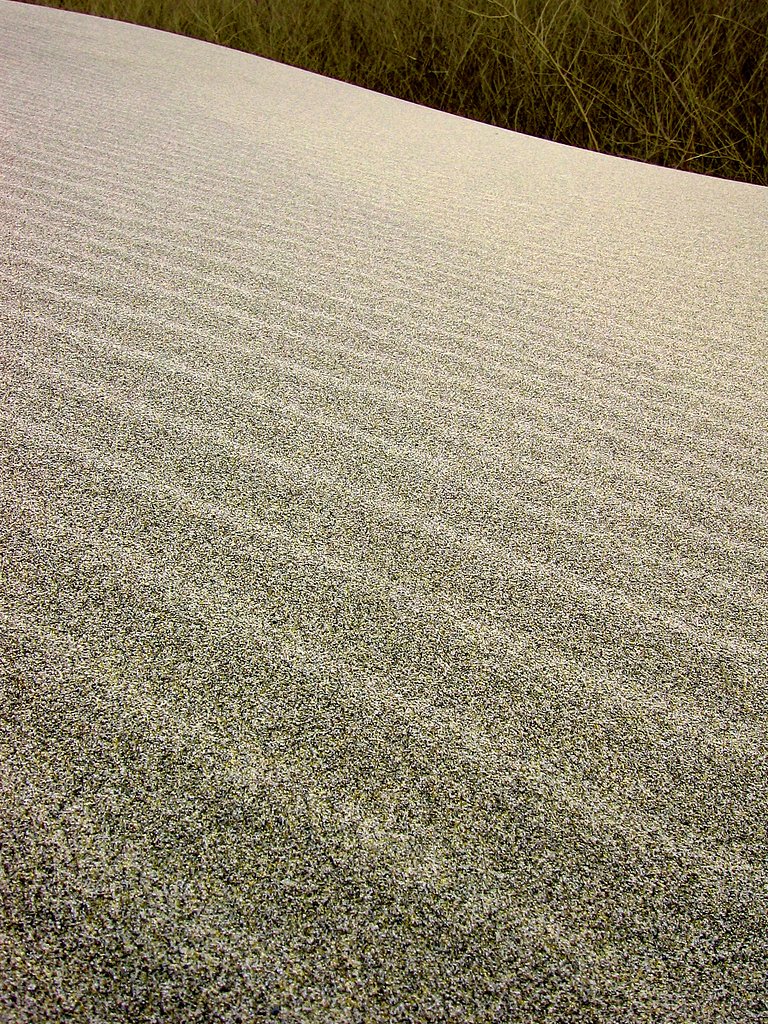 砂浜寸景