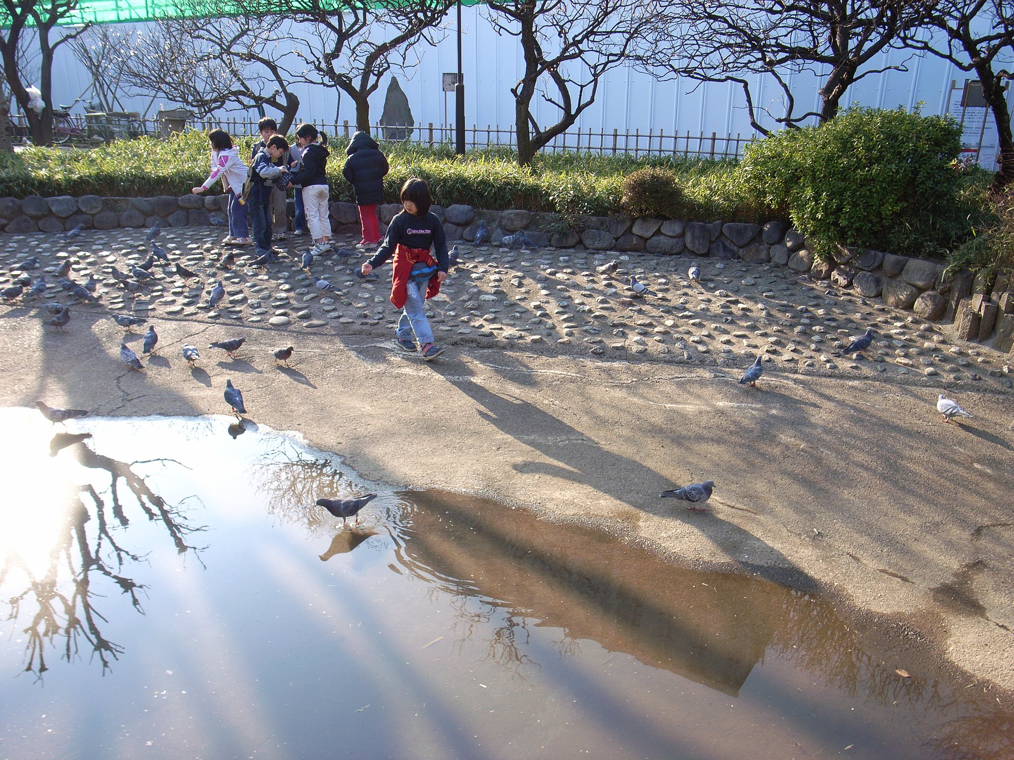 【写楽】影法師