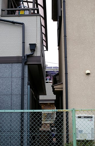 一戸建て