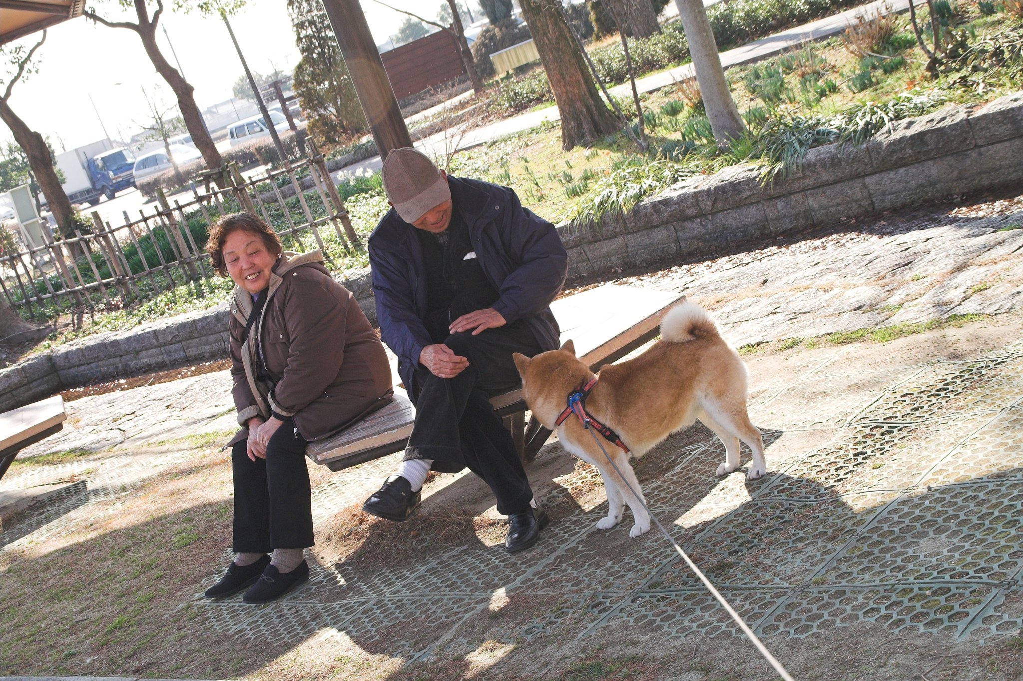今日の社交犬