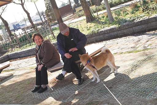 今日の社交犬