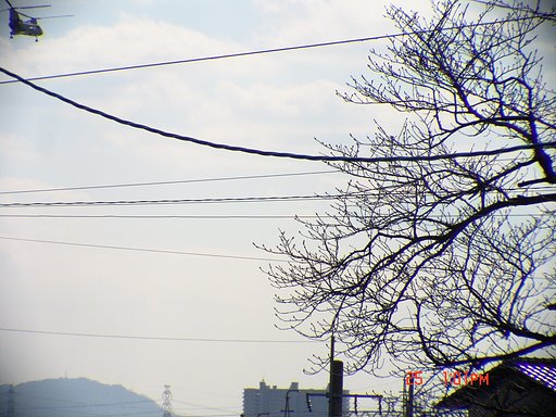 決定的瞬間やのに