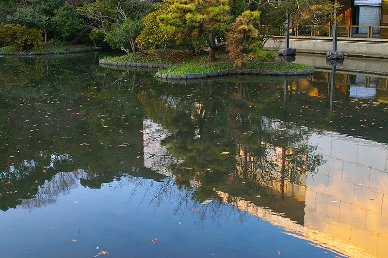 池に差し込む夕日