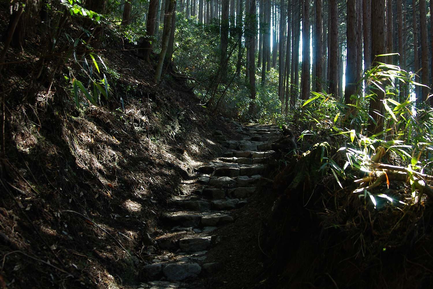 旧街道の山道