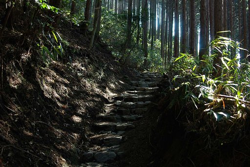 旧街道の山道