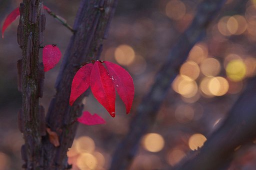 12月30日の写真