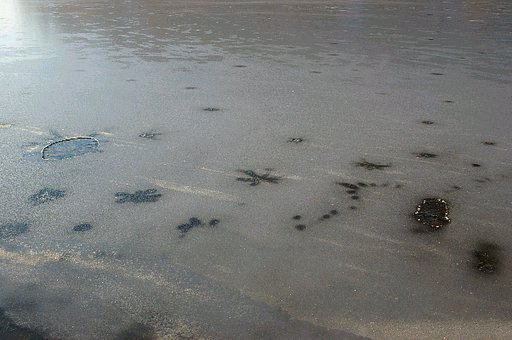 湖面の足跡