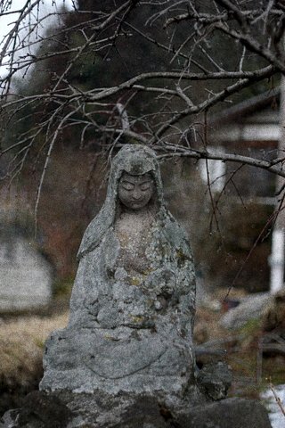 山里のマリア