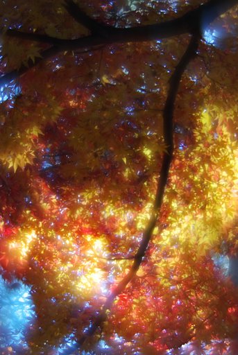 K10D初撮り-長瀞の紅葉#２#