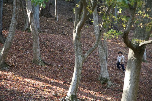 【陽光】里山の秋