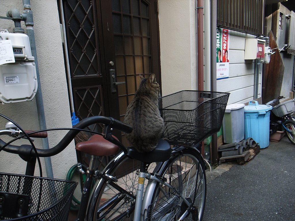 下町界隈