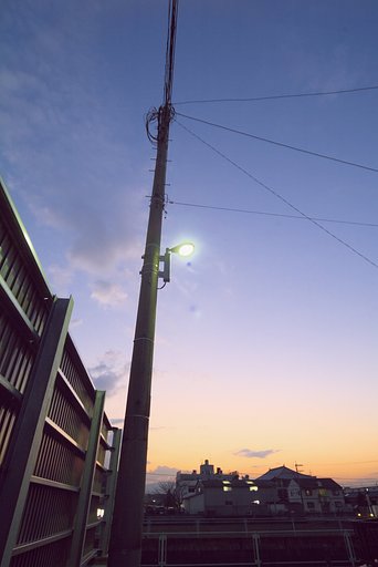 夕日が沈んだら・・・・