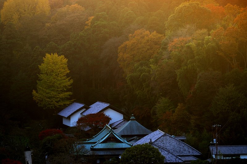 見下ろせば北鎌倉