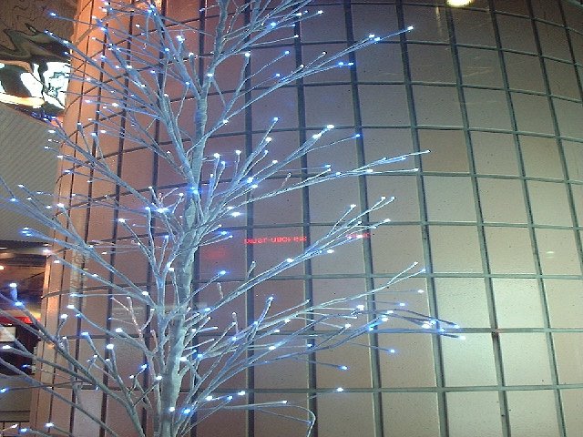 木陰にキラッ！