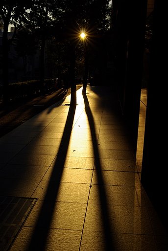 朝の表参道