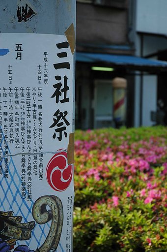 今日から三社
