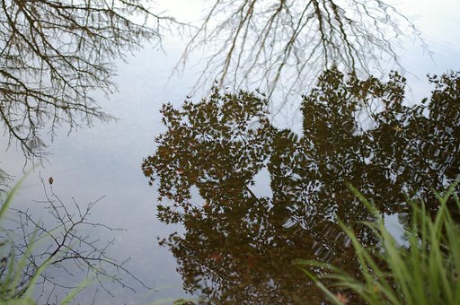 水面の景色