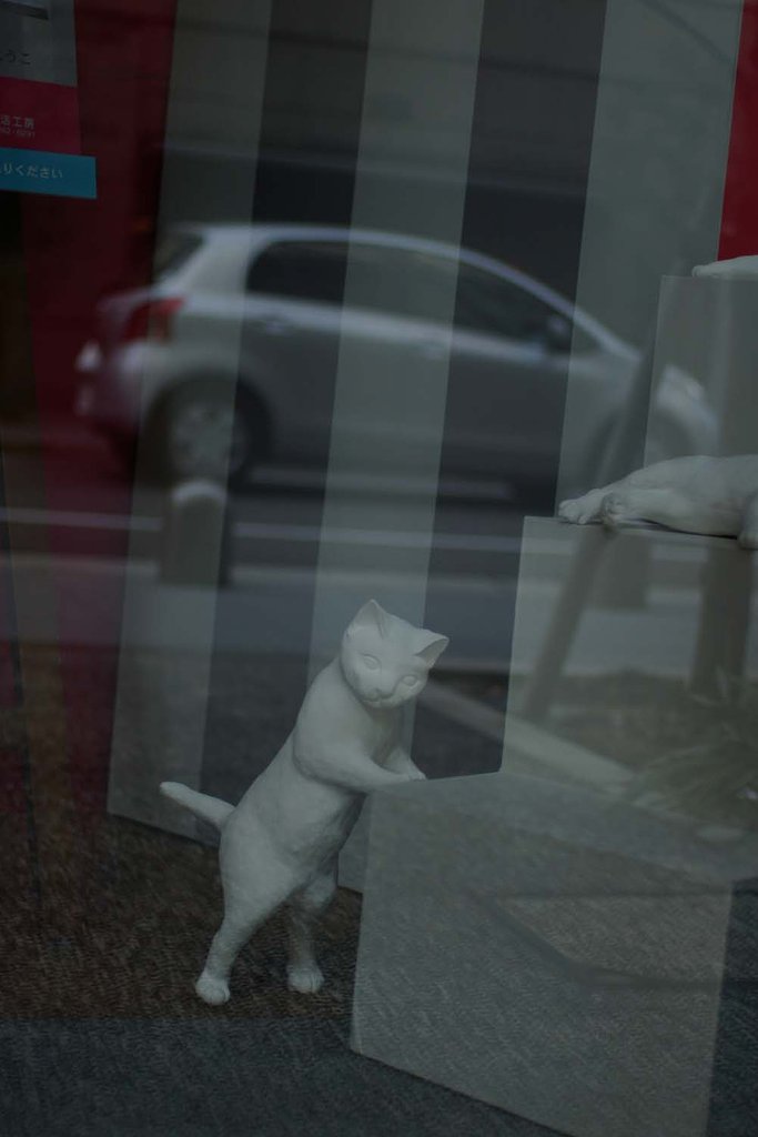 猫の気配