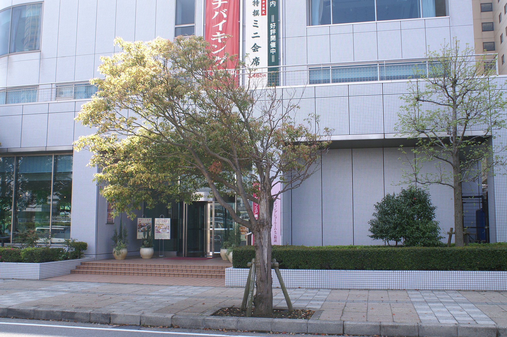 【木】風