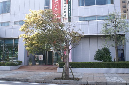 【木】風