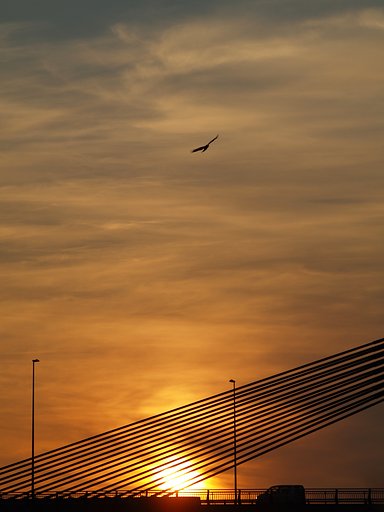 【陽光】ＡＥＯＮの橋の夕暮れ