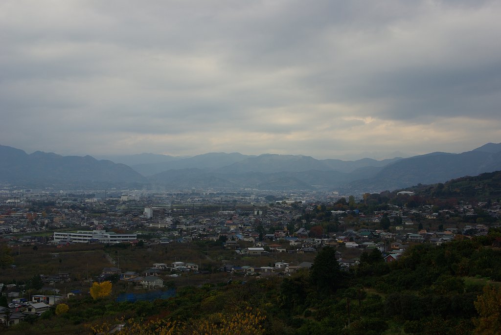 Ｋ１０Ｄ+ＤＡ16-45ｍｍ　F10