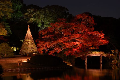 makotoさんへ（六義園にて）