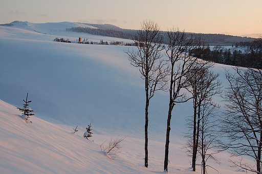 冬の美幌峠牧場