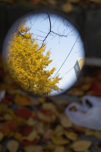 【陽光】明暗