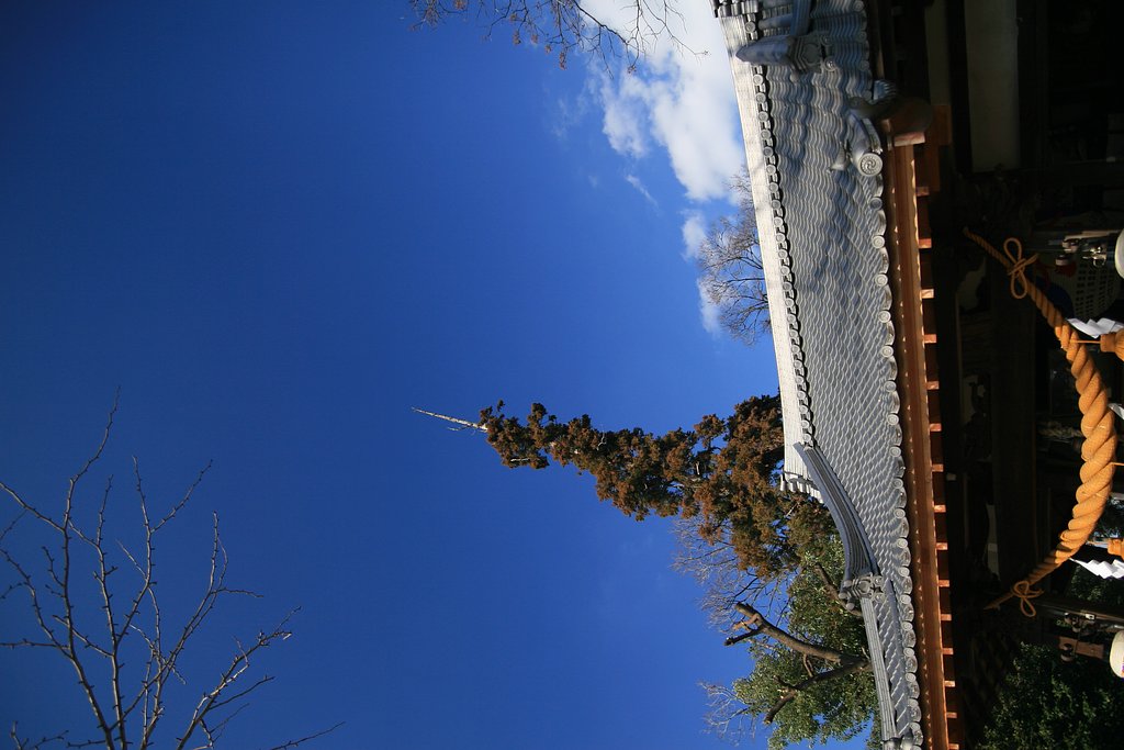 [写楽]神社上空の空
