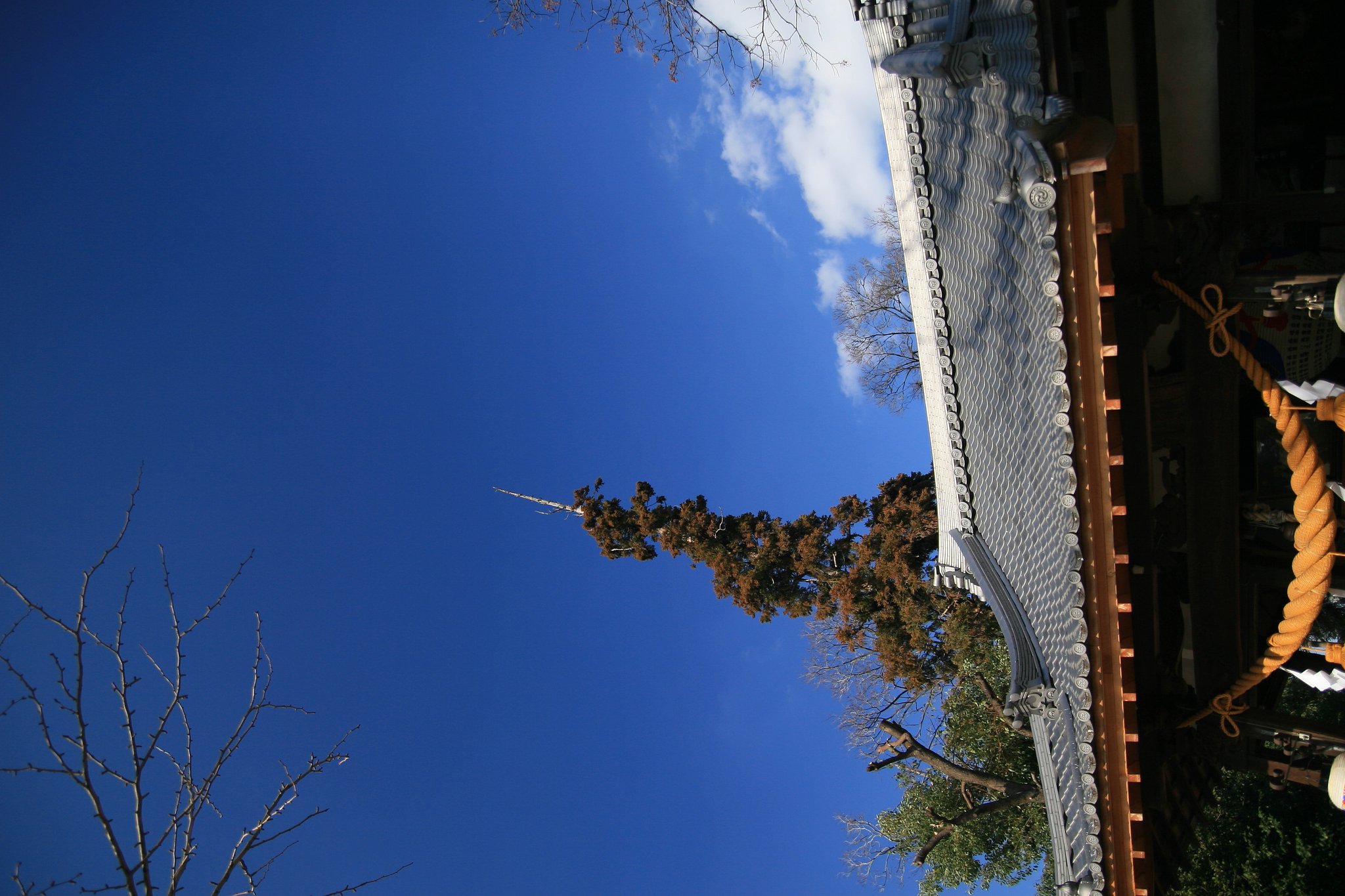 [写楽]神社上空の空