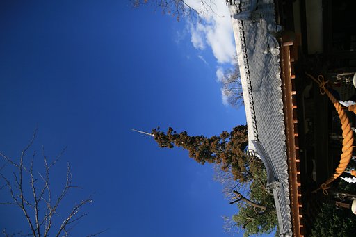 [写楽]神社上空の空