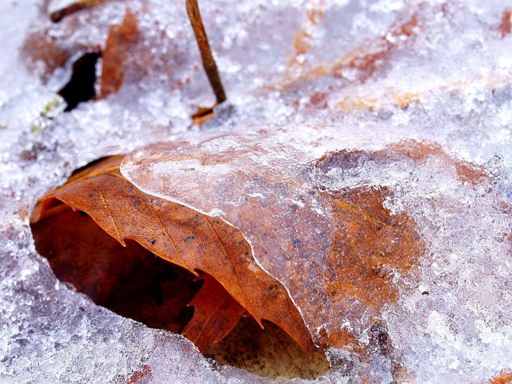 雪解け