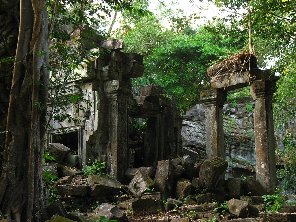 遺跡が語る植物力